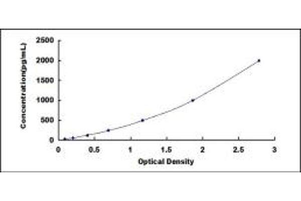 HTRA1 ELISA Kit