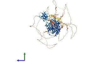 AlphaFold protein structure predicition of Human Recombinant MAP3K14 Protein, UniprotID Q99558