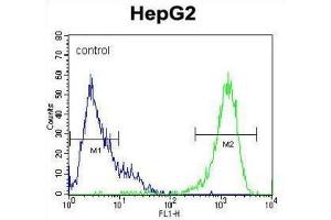MAPK1 Antibody flow cytometric analysis of HepG2 cells (right histogram) compared to a negative control cell (left histogram).