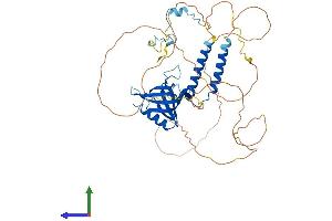 AlphaFold protein structure predicition of Mouse Recombinant Nup50 Protein, UniprotID Q9JIH2