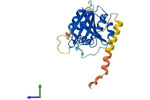 AlphaFold protein structure predicition of Human Recombinant ARL10 Protein, UniprotID Q8N8L6