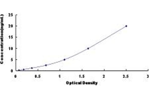 NET1 ELISA Kit