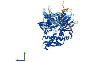 AlphaFold protein structure predicition of Human Recombinant HSPA1L Protein, UniprotID P34931