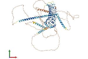 AlphaFold protein structure predicition of Mouse Recombinant Cep97 Protein, UniprotID Q9CZ62 (CEP97 Protein (AA 1-856) (His tag))
