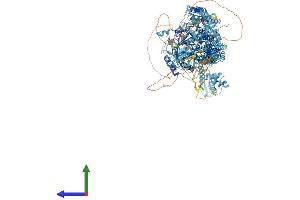 Protein Structure (PS) image for Lysine (K)-Specific Demethylase 5B (KDM5B) (AA 1-1544) protein (His tag) (ABIN7554328)