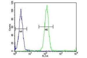 ACCN1 antibody flow cytometric analysis (intracellular) of human WiDr cells (right histogram) compared to a negative control (left histogram). (ACCN1 antibody  (AA 120-148))