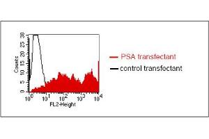 FACS analysis of BOSC23 cells using LT-3D2. (Prostate Specific Antigen antibody)