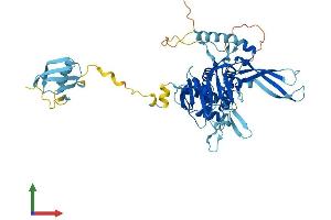 AlphaFold protein structure predicition of Mouse Recombinant Usp14 Protein, UniprotID Q9JMA1 (USP14 Protein (AA 1-493) (His tag))