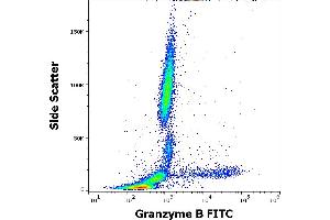 Flow cytometry intracellular staining pattern of human peripheral whole blood stained using anti-human Granzyme B (CLB-GB11) FITC antibody (4 μL reagent / 100 μL of peripheral whole blood). (GZMB antibody  (FITC))