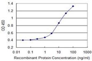 Detection limit for recombinant GST tagged AIFM2 is 0. (AIFM2 antibody  (AA 188-287))