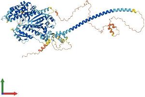 AlphaFold protein structure predicition of Mouse Recombinant Myo19 Protein, UniprotID Q5SV80