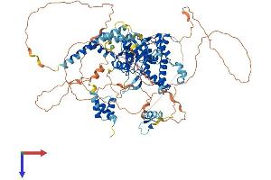 AlphaFold protein structure predicition of Human Recombinant OTUD7B Protein, UniprotID Q6GQQ9 (OTUD7B Protein (AA 1-843) (His tag))