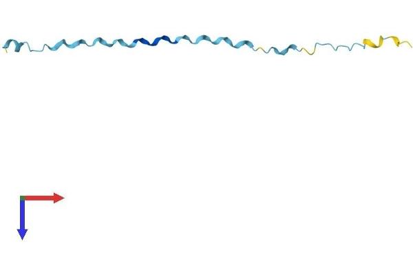 SPRR2G Protein (AA 1-73) (Fc Tag)
