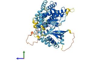 AlphaFold protein structure predicition of Human Recombinant PI4KAP2 Protein, UniprotID A4QPH2