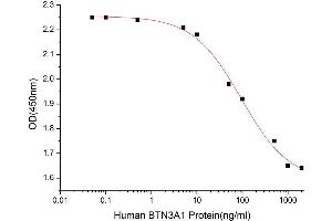 Activity Assay (AcA) image for Butyrophilin, Subfamily 3, Member A1 (BTN3A1) (AA 30-254) (Active) protein (His-Fc tag) (ABIN7607173)