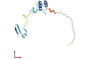 AlphaFold protein structure predicition of Mouse Recombinant Chchd4 Protein, UniprotID Q8VEA4