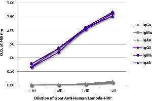 ELISA plate was coated with purified human IgGκ, IgMκ, IgAκ, IgGλ, IgMλ, and IgAλ. (Goat anti-Human Ig (Chain lambda) Antibody (HRP))