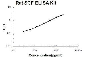 Rat SCF PicoKine ELISA Kit Standard Curve