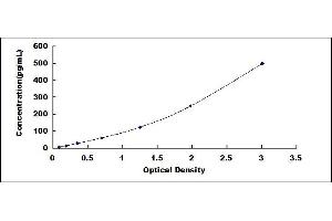 Typical standard curve (IL-6 ELISA Kit)