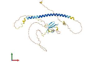 AlphaFold protein structure predicition of Mouse Recombinant Gmnc Protein, UniprotID Q3URY2 (GEMC1 Protein (AA 1-333) (His tag))