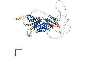 GPSM2 Protein (AA 1-684) (His tag)