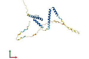 AlphaFold protein structure predicition of Human Recombinant HES7 Protein, UniprotID Q9BYE0 (HES7 Protein (AA 1-225) (His tag))