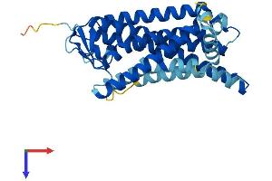 AlphaFold protein structure predicition of Human Recombinant OR8J2 Protein, UniprotID Q8NGG1 (OR8J2 Protein (AA 1-315) (His tag))