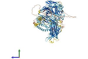 AlphaFold protein structure predicition of Mouse Recombinant Nphp4 Protein, UniprotID P59240