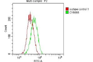 Overlay histogram showing Jurkat cells stained with ABIN7127817 (red line) at 1:50. (Recombinant SOD1 antibody)