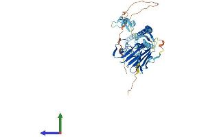 AlphaFold protein structure predicition of Mouse Recombinant Trim16 Protein, UniprotID Q99PP9 (TRIM16 Protein (AA 1-556) (His tag))