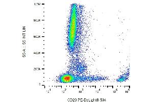Flow cytometry analysis (surface staining) of human peripheral blood with anti-CD20 (2H7) PE-DyLigt® 594. (CD20 antibody  (PE-DyLight 594))