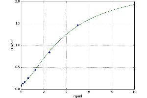Uncoupling Protein 3 (Mitochondrial, Proton Carrier) (UCP3) ELISA Kit