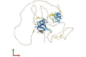 AlphaFold protein structure predicition of Human Recombinant SHC4 Protein, UniprotID Q6S5L8 (SHC4 Protein (AA 1-630) (His tag))