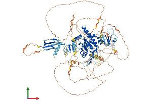 Protein Structure (PS) image for CTD (Carboxy-terminal Domain, RNA Polymerase II, Polypeptide A) Phosphatase, Subunit 1 (CTDP1) (AA 1-960) protein (His tag) (ABIN7564212)