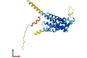 AlphaFold protein structure predicition of Mouse Recombinant Hacd1 Protein, UniprotID Q9QY80 (PTPLA Protein (AA 1-281) (His tag))