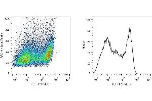 Intracellular staining of SCIMP in a population of HEK-293T-SCIMP transfectants using monoclonal antibody (clone NVL-07, purified). (SCIMP antibody)