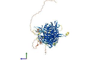 AlphaFold protein structure predicition of Human Recombinant MED16 Protein, UniprotID Q9Y2X0