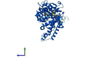 Protein Structure (PS) image for Cytochrome P450, Family 2, Subfamily S, Polypeptide 1 (CYP2S1) (AA 1-504) protein (His tag) (ABIN7546735)
