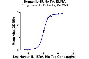 Immobilized Human IL-15 at 1 μg/mL (100 μL/Well) on the plate. (IL-15 Protein)