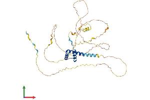 AlphaFold protein structure predicition of Human Recombinant MNX1 Protein, UniprotID P50219
