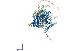 AlphaFold protein structure predicition of Mouse Recombinant Pkn3 Protein, UniprotID Q8K045 (PKN3 Protein (AA 1-878) (His tag))