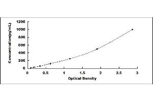 Typical standard curve (HPSE ELISA Kit)