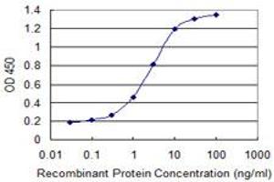 Detection limit for recombinant GST tagged FZR1 is 0. (FZR1 antibody  (AA 1-101))