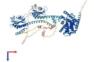 AlphaFold protein structure predicition of Human Recombinant PDE11A Protein, UniprotID Q9HCR9 (PDE11A Protein (AA 1-933) (His tag))
