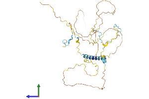Protein Structure (PS) image for Hyaluronan Binding Protein 4 (HABP4) (AA 1-411) protein (His tag) (ABIN7561646)