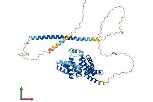 Protein Structure (PS) image for Family with Sequence Similarity 82, Member A2 (FAM82A2) (AA 1-470) protein (His tag) (ABIN7551504)