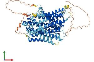 AlphaFold protein structure predicition of Human Recombinant SLC5A6 Protein, UniprotID Q9Y289 (SLC5A6 Protein (AA 1-635) (His tag))