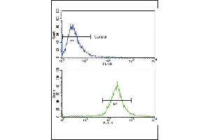 Flow cytometric analysis of WiDr cells using BR1A Antibody (N-term) (bottom histogram) coared to a negative control cell (top histogram). (BMPR1A antibody  (N-Term))
