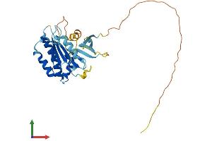 AlphaFold protein structure predicition of Mouse Recombinant Swsap1 Protein, UniprotID Q8VCI7 (SWSAP1 Protein (AA 1-278) (His tag))