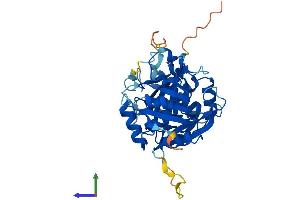 Protein Structure (PS) image for Nudix (Nucleoside Diphosphate Linked Moiety X)-Type Motif 19 (NUDT19) (AA 1-375) protein (His tag) (ABIN7549911)